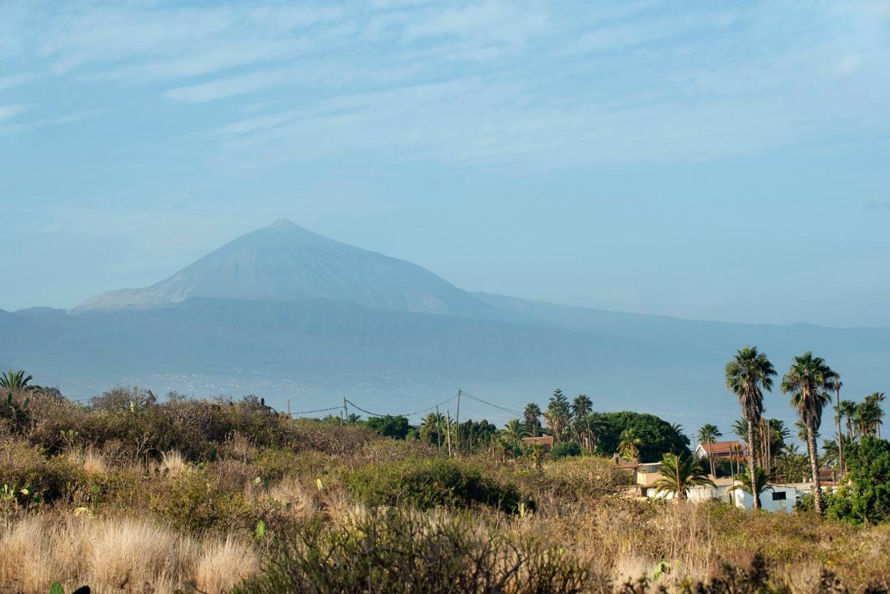 Jalon De Cameros Tacoronte Luaran gambar
